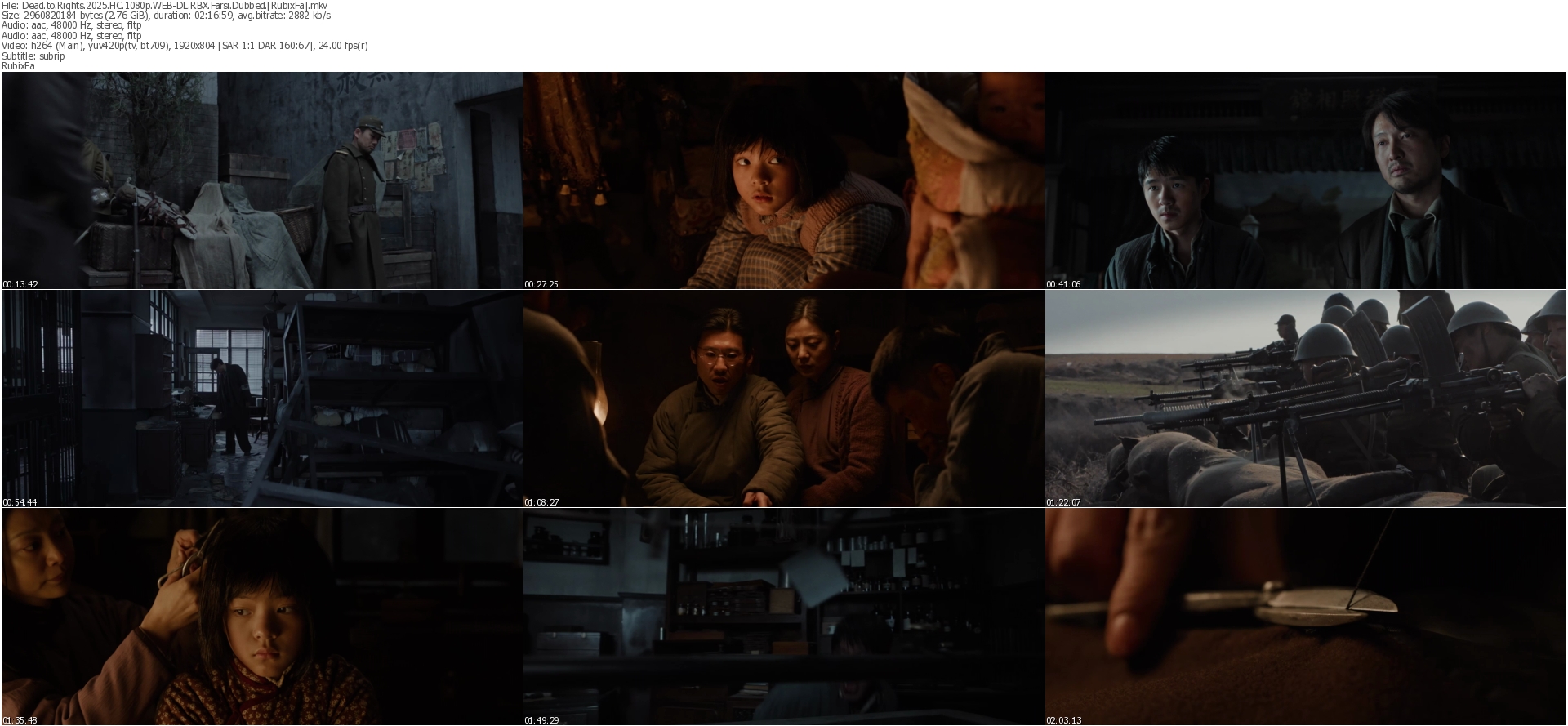 دانلود فیلم Dead to Rights 2025 دوبله فارسی